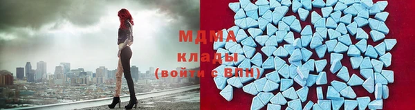прущие грибы Арсеньев