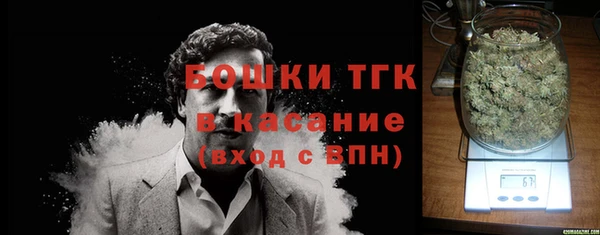 прущие грибы Арсеньев