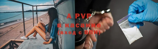 прущие грибы Арсеньев