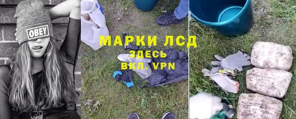 прущие грибы Арсеньев