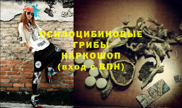 дживик Аркадак