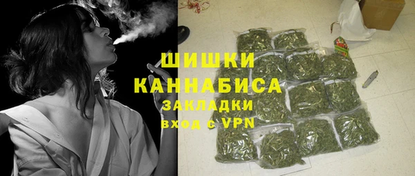 прущие грибы Арсеньев